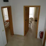 فيلة Cozy Family 500m. From The *